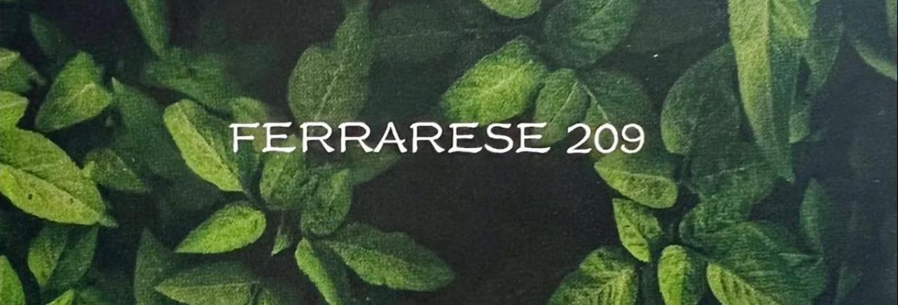 볼로냐 Ferrarese209 아파트 외부 사진